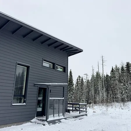 Villa Aurora Of Lapland - Under The Northern Lights *