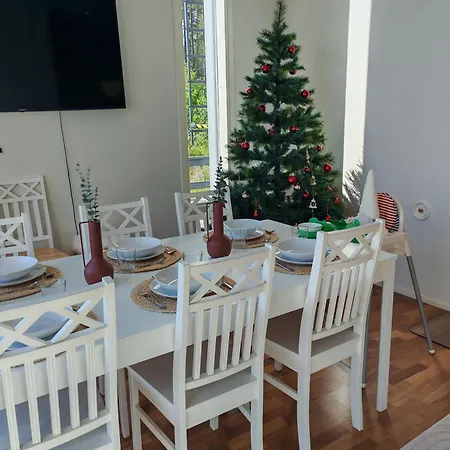 Aurora Of Lapland - Under The Northern Lights Rovaniemi