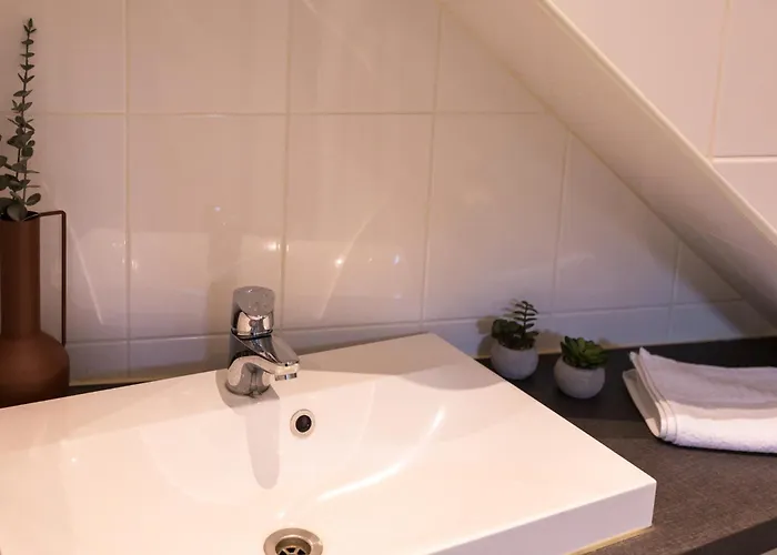 Aurora Of Lapland - Under The Northern Lights Rovaniemi