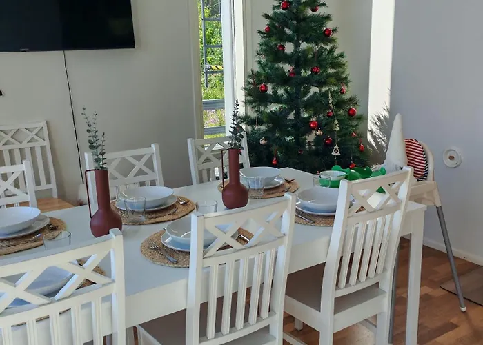 Aurora Of Lapland - Under The Northern Lights Rovaniemi